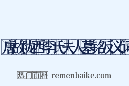 唐故陇西李氏夫人墓铭反义词是什么意思的图片